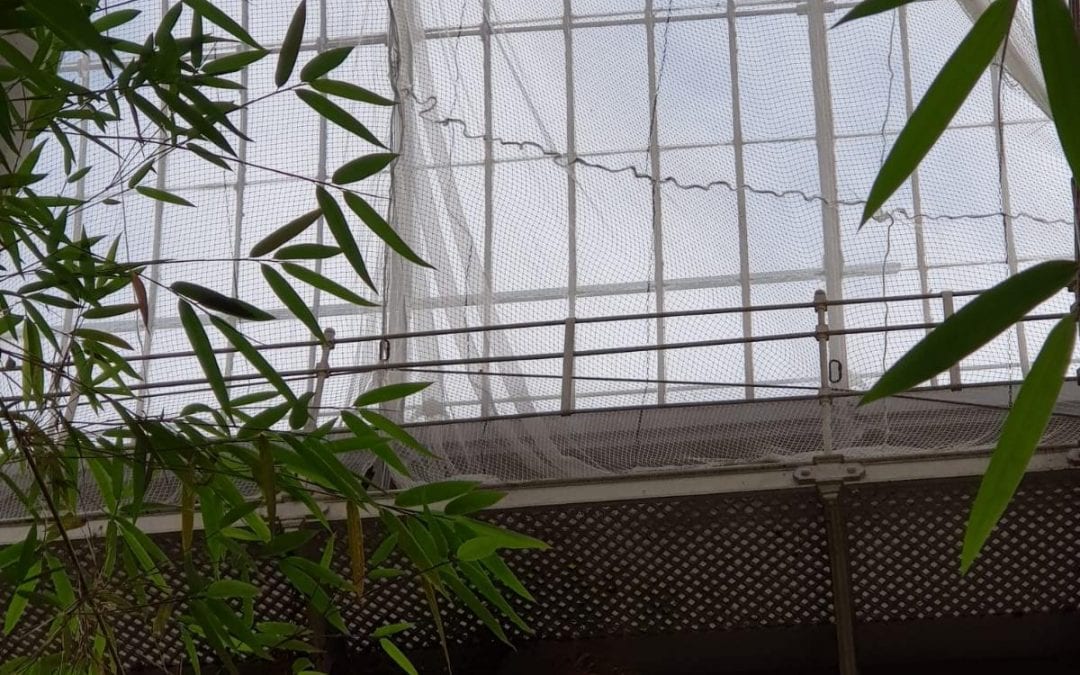 Covent Garden Market Safety Netting