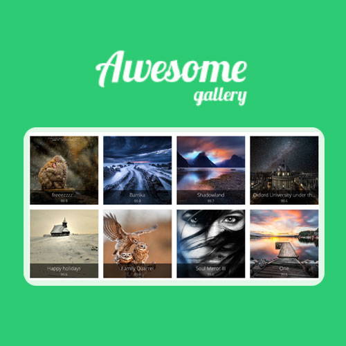 Awesome Gallery - Instagram, Flickr, Facebook galleries on your site