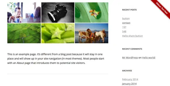Ribbon Panel WordPress Plugin